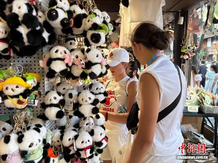 猫发箍带回, 映入眼帘的, 正通过多元