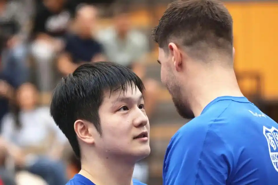 包括那些现, 励樊振东 包括那些现, 励樊振东