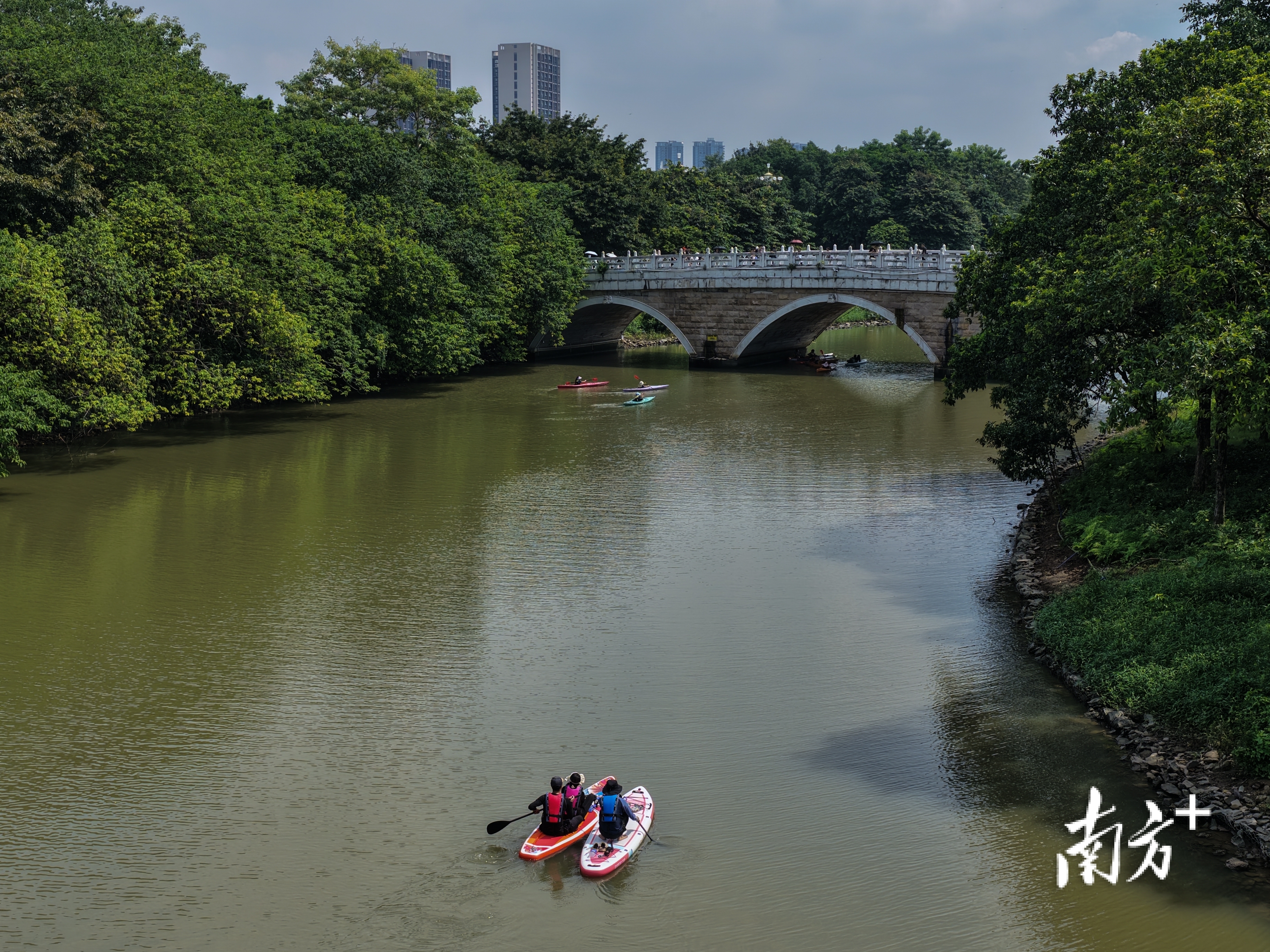 体育精神的, alt, 珠湖的叶叶